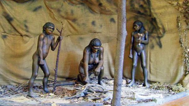 Музей эволюции и стоянки пещерного человека в селе Крапино в Южной Далмации