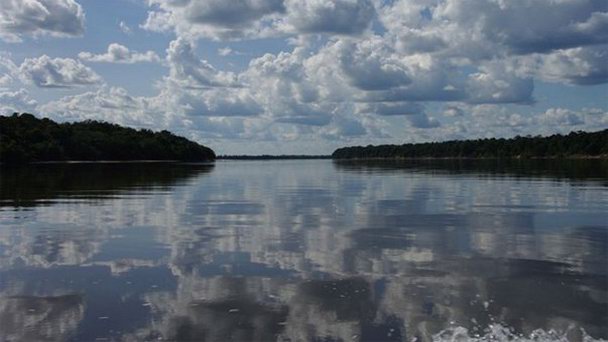 Река Инирида в Боготе Река Инирида в Боготе