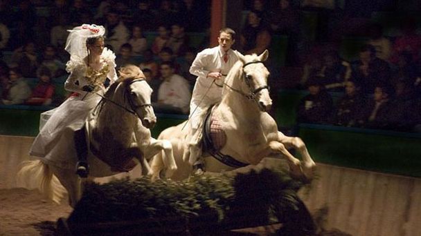 Конный театр Зингаро в Париже