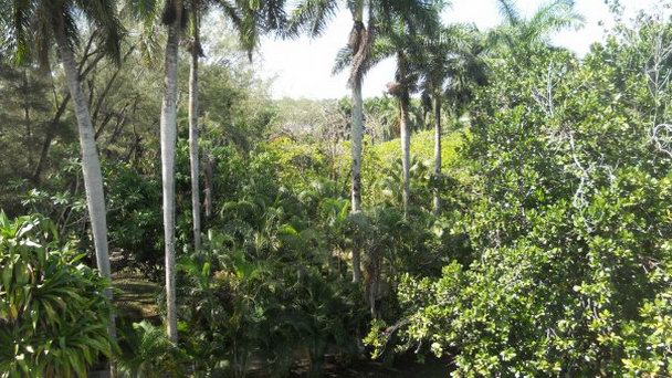 Вилла Хемингуэйя Сан-Франсиско де-Паула в Гаване