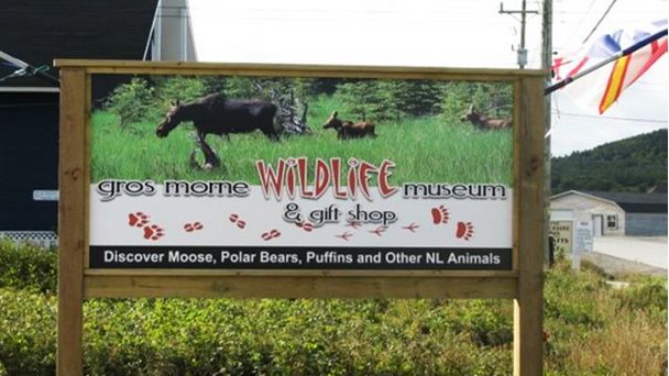Музей дикой природы Грос Морн в Ньюфаундленде и Лабрадоре