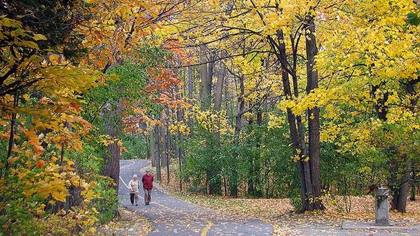 Парк Винсента Мэсси в Оттаве