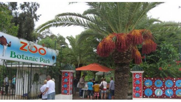 Зоопарк Oasis в Суссе