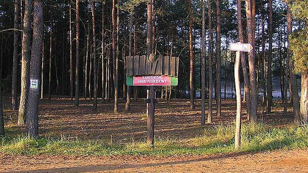 Национальный парк Кампиносский в Мазовецком воеводстве