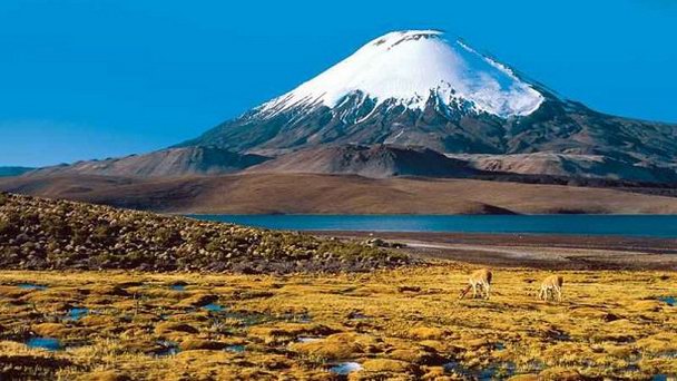 Альтиплано в Ла-Серене Альтиплано в Ла-Серене