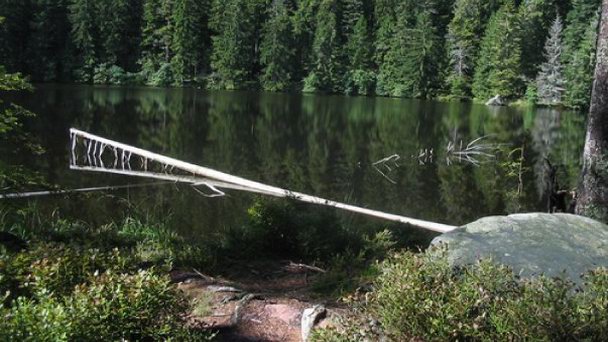 Озеро Glaswaldsee в Баден-Вюртемберге