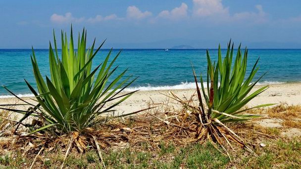 Залив Кассандра в Халкидики