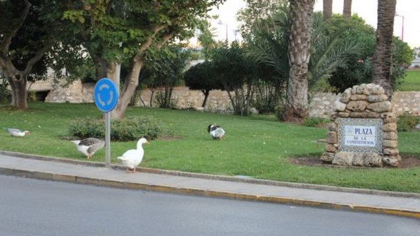 Площадь Конституции в Пенисколе в Коста Дель Азаре