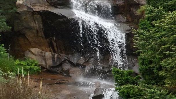 Ботанический сад Гётеборга (Goteborgs botaniska trä dgå rd) в Гетеборге