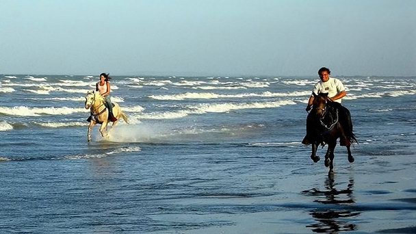 Ранчо Маканао на Маргарите Ранчо Маканао на Маргарите