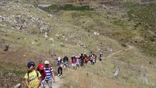 Аттракцион День-Ночь - путешествие на гору Эллады Парнифа в Афинах