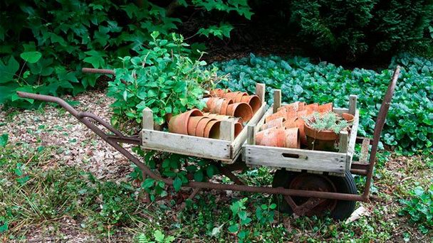 Фантазии ума в Оверэйселе