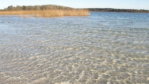 Кюрлевские карьеры в Ленинградской области