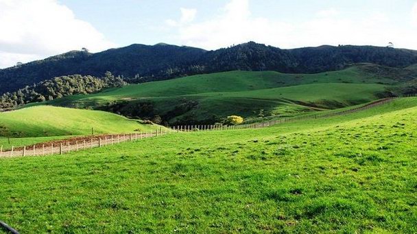 Холмы Бомбей в Окленде