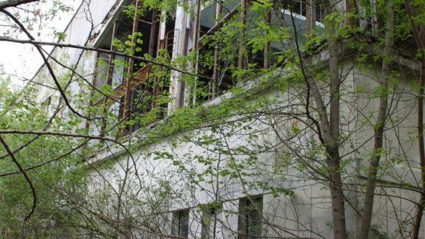 Бассейн в Киеве Бассейн в Киеве