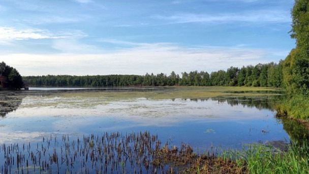 Введенское озеро (Lake Vvedenskoe), Владимирская область, Россия -  описание, фото, на карте