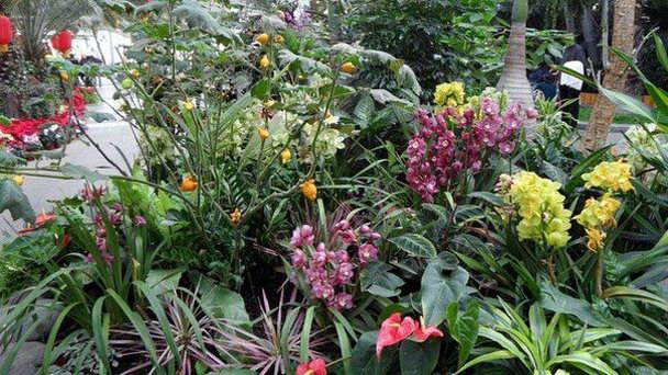 Пекинский ботанический сад лекарственных растений