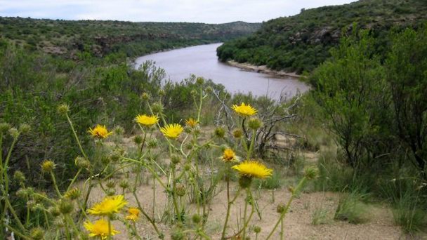 Река Оранжевая в Блюмфонтейне