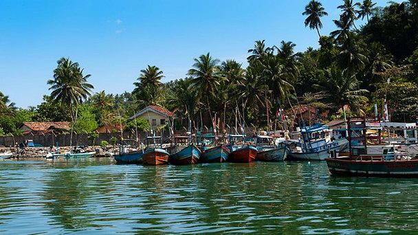 Деревня Велигама в Дамбулле