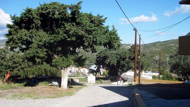 Арнита на Родосе