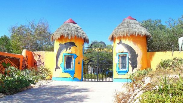 Дельфинарий в Хаммамете