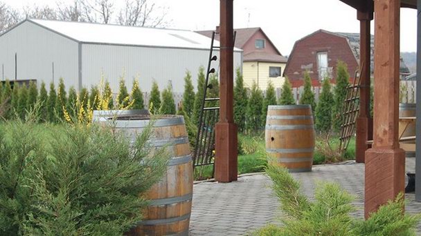 Винодельня Cornerstone Estate в Онтарио