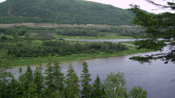 Река Птикодьяк в Нью-Брансуике