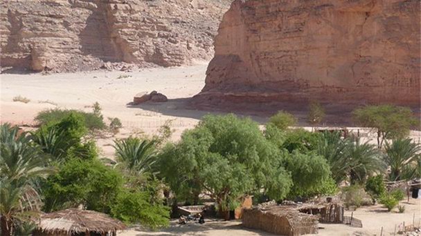 Оазис Ain Khudra в Нувейбе