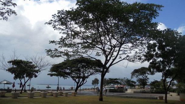 Сады Фородхани в Занзибаре