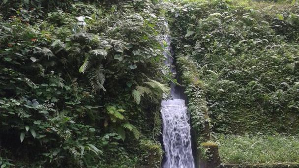Природная купель местных жителей на Бали