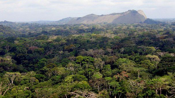 Плато Волё-Нтем в Либревиле