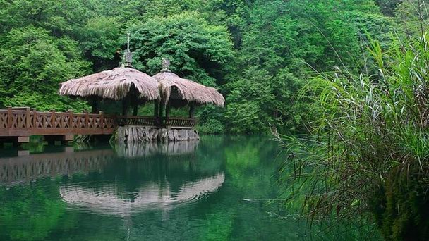 Национальная заповедная зона Алишан в Тайнани