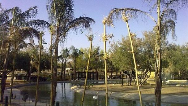 Ботанический парк Экологико де Сонора