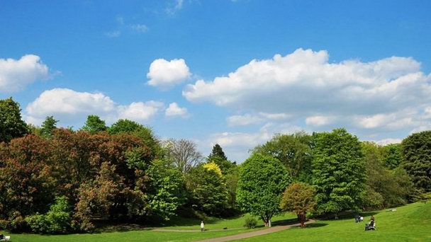 Ромберг-парк в Северном Рейн-Вестфалии