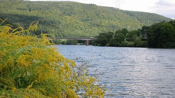 Река Неккар в Баден-Вюртемберге Река Неккар в Баден-Вюртемберге