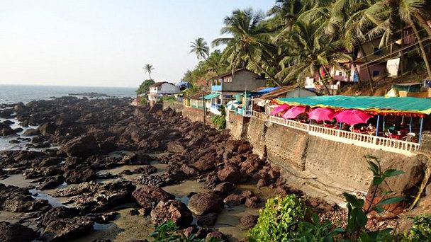 Арамболь в Гоа