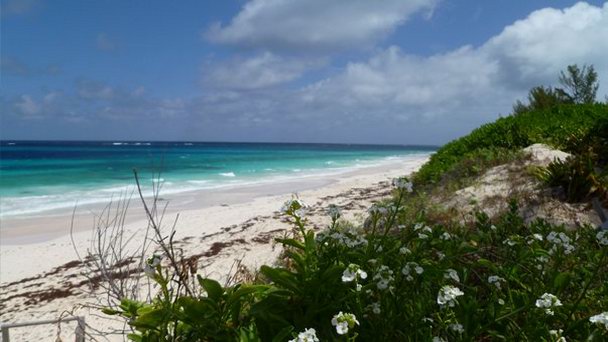 Риф Грейт-Гуана на Большом Абако