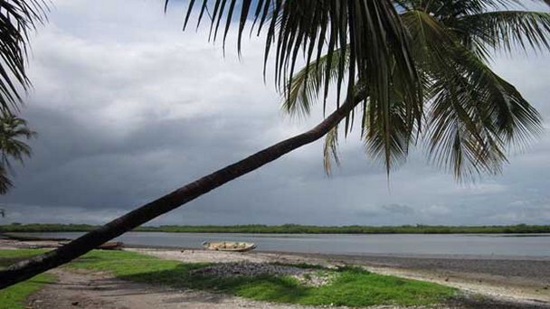 Национальный парк Ниуми в Банжуле