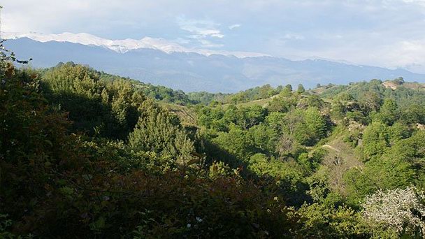 Первое ущелье в Пицунде Первое ущелье в Пицунде