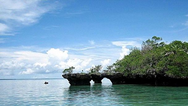 Заповедник Менаи Бэй на Занзибаре