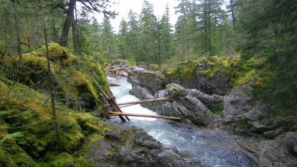 Парк штата Литл Кваликум Фолс в Ванкувере Парк штата Литл Кваликум Фолс в Ванкувере