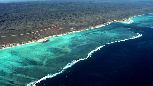 Риф Нингалу в Эксмузе