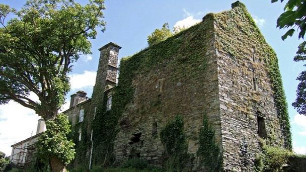 Замок Салем в Корке