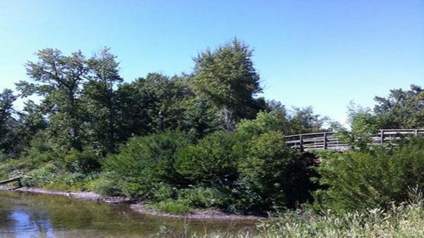 Парк Столетия в Альберте