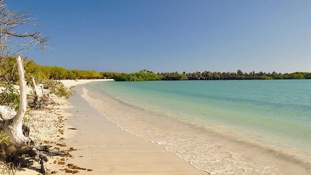 Пляж Tortuga Bay (Галапагосские острова)