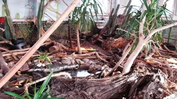 Греческий серпентарий в Афинах