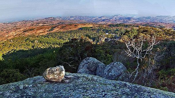 Лесной заповедник Ntchisi в Лилонгве