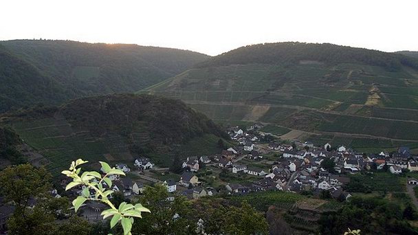 Рейнские Сланцевые горы в Кельне