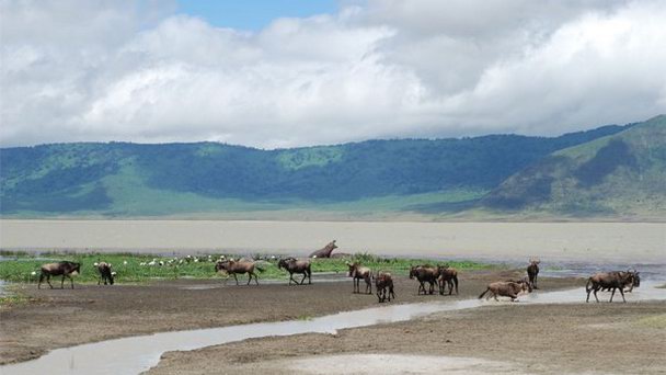 Кратер заповедника Нгоронгоро