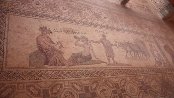 Пафосские мозаики